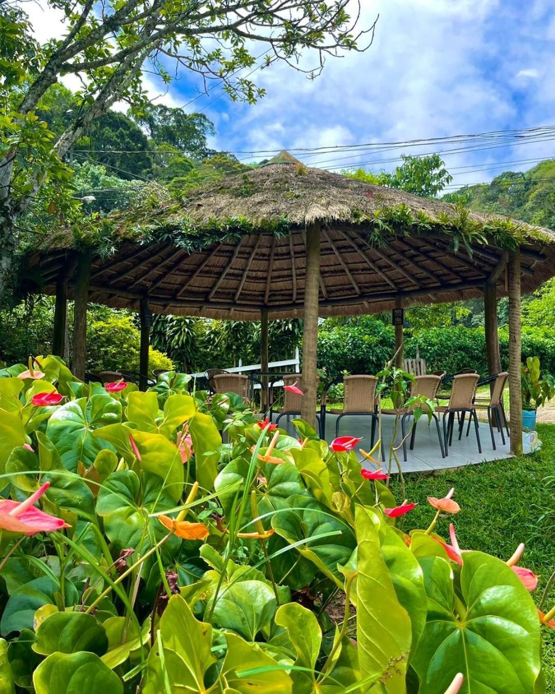 Hotel Fazenda Rancho Mineiro Engenheiro Paulo de Frontin Luaran gambar