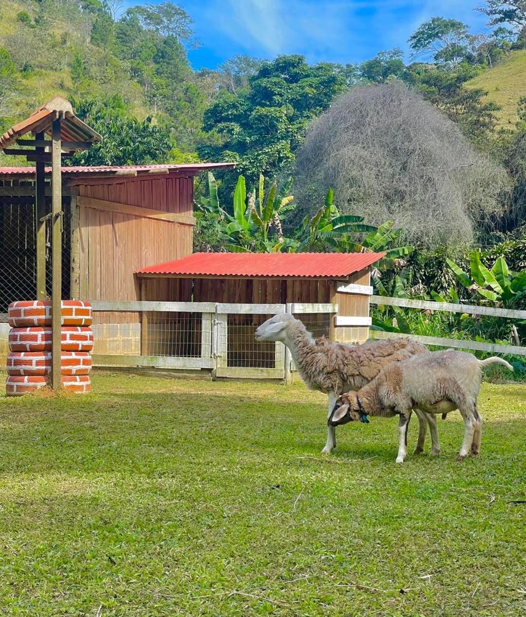 Hotel Fazenda Rancho Mineiro Engenheiro Paulo de Frontin Luaran gambar