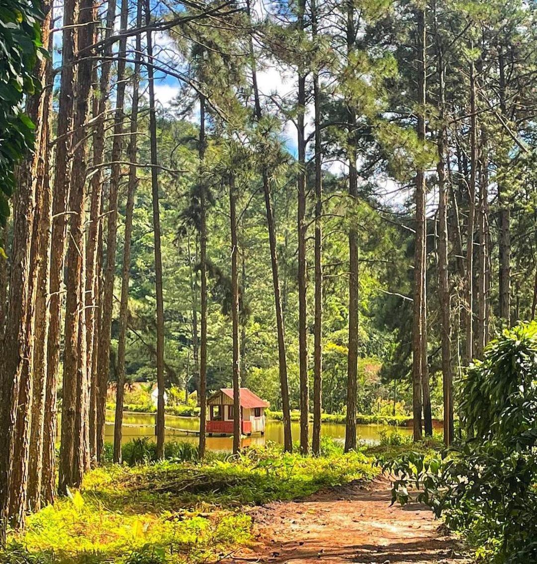 Hotel Fazenda Rancho Mineiro Engenheiro Paulo de Frontin Luaran gambar