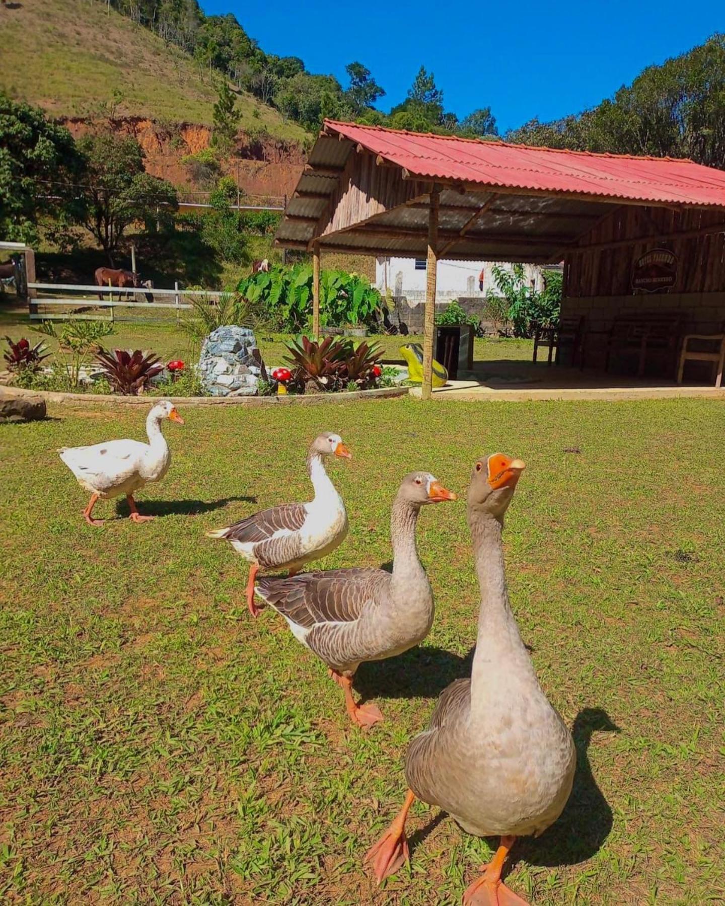 Hotel Fazenda Rancho Mineiro Engenheiro Paulo de Frontin Luaran gambar