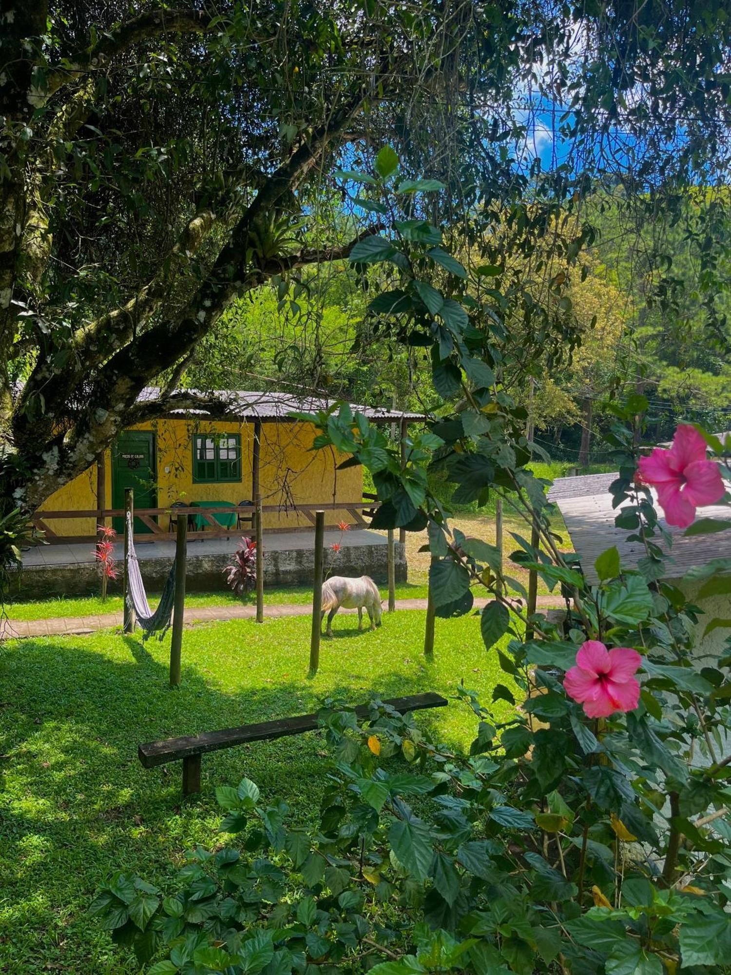 Hotel Fazenda Rancho Mineiro Engenheiro Paulo de Frontin Luaran gambar