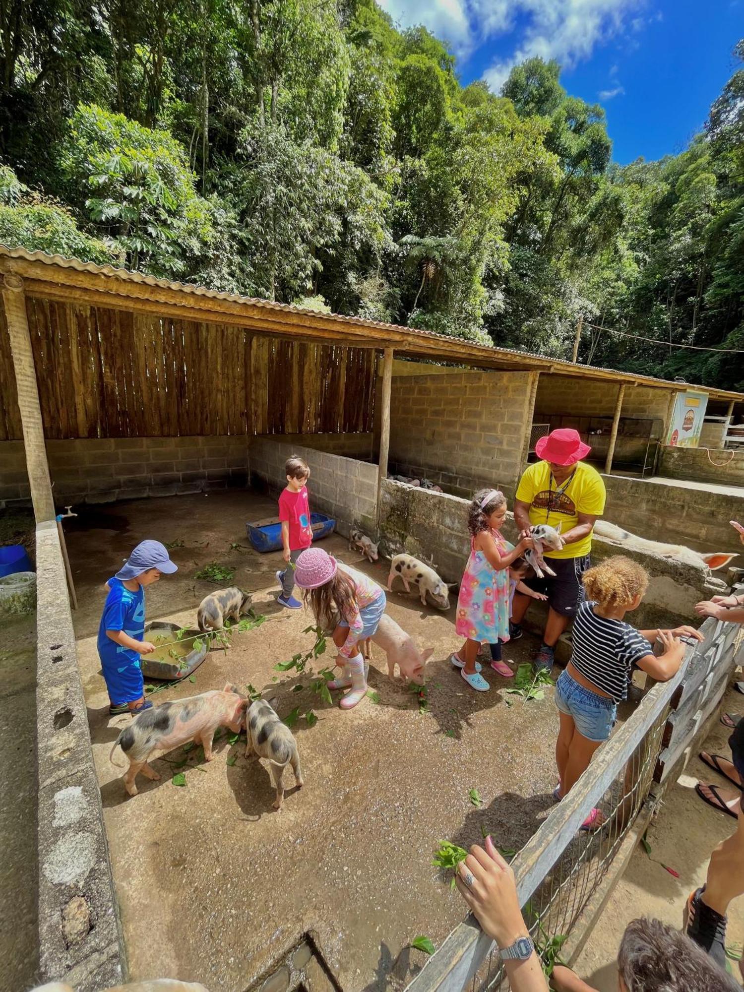 Hotel Fazenda Rancho Mineiro Engenheiro Paulo de Frontin Luaran gambar