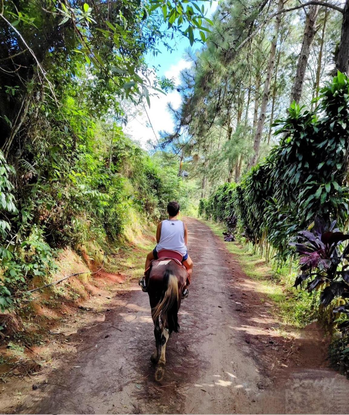 Hotel Fazenda Rancho Mineiro Engenheiro Paulo de Frontin Luaran gambar